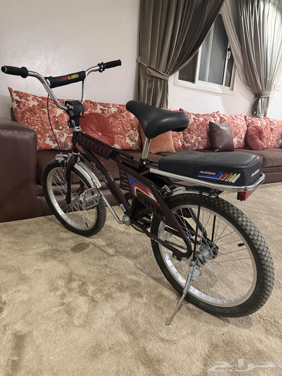 سيكل رامبو عنابي مقاس 2064569288679938111