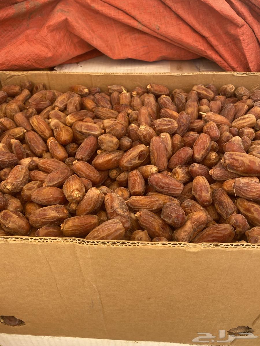 تمور صفري غير منقى للبيع64569740259201110