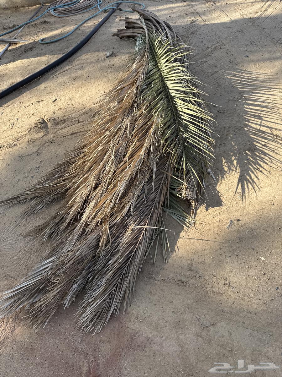 For sale, suitable for Datsun Gamarah, Hilux Gamarah, or dump truck64567448084867110