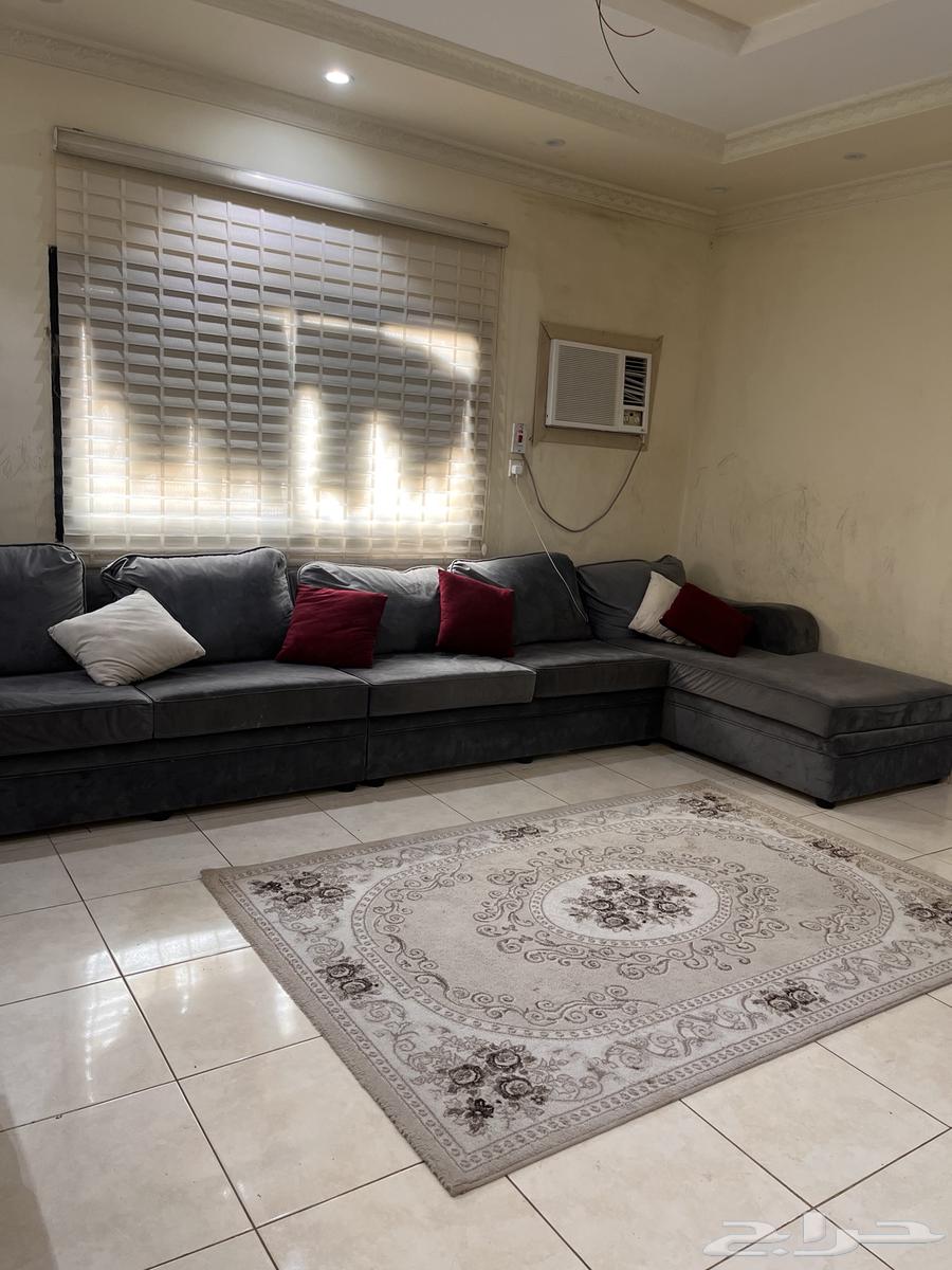 كنب للبيع64565619542915110