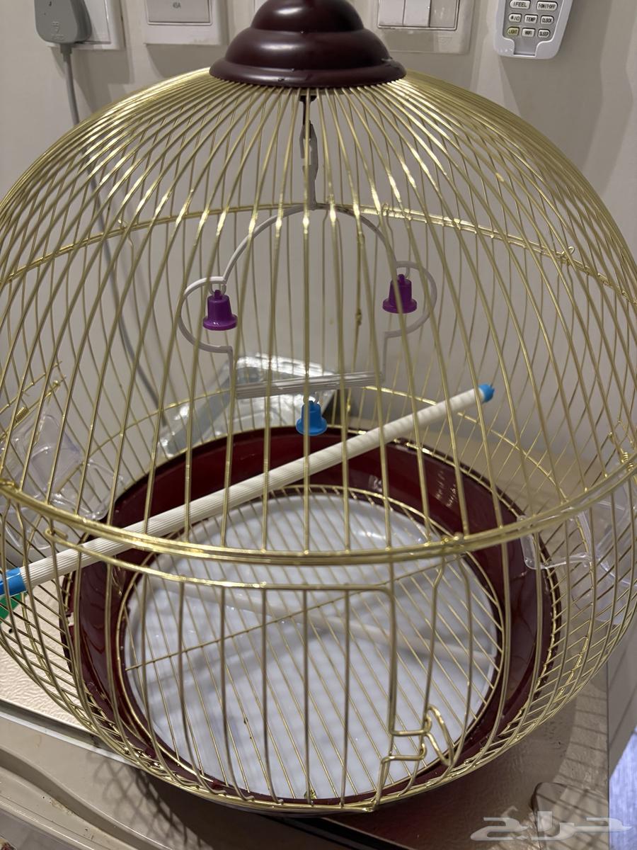 قفص للبيع64570997007363112