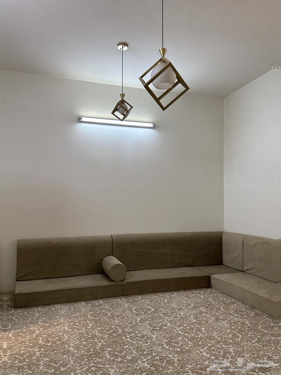 Floor seating and carpet64564240350083113