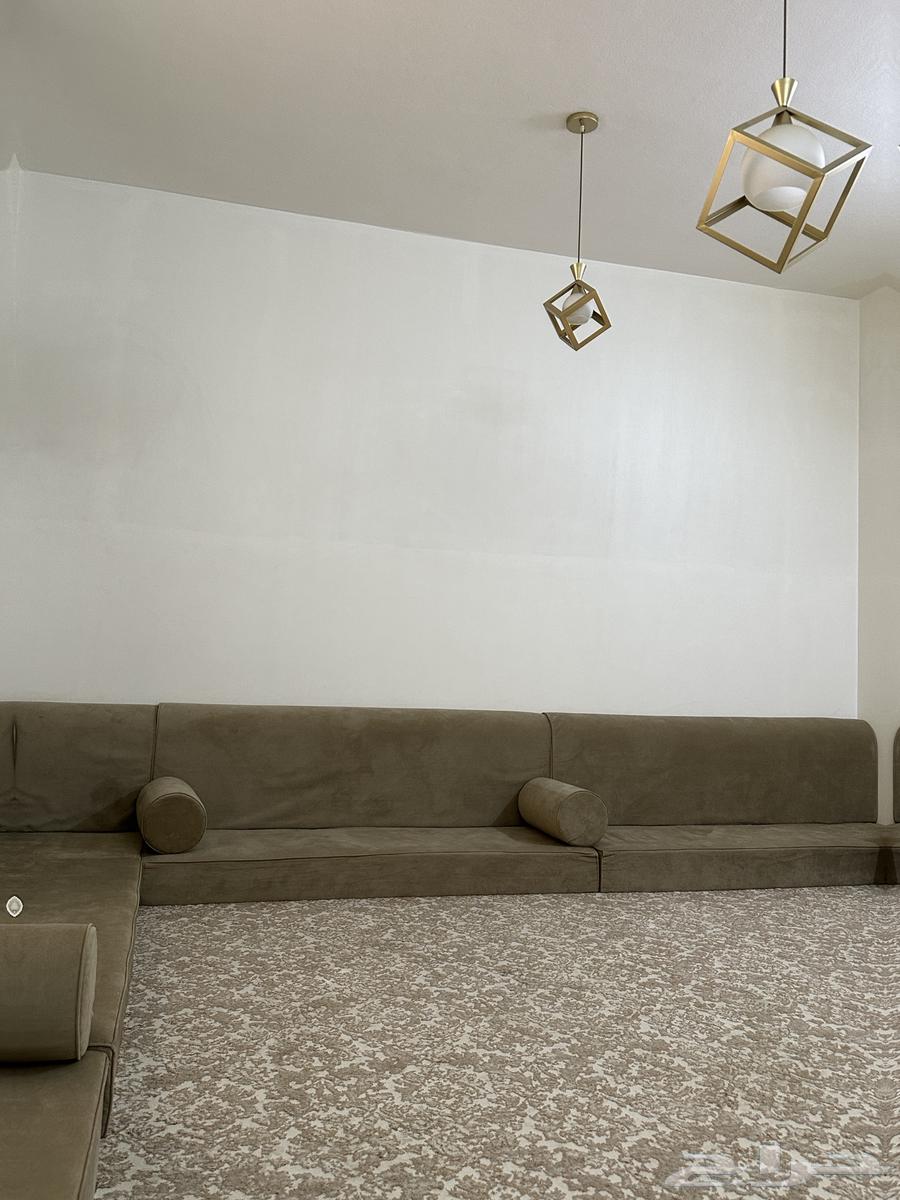 Floor seating and carpet64564240350083111