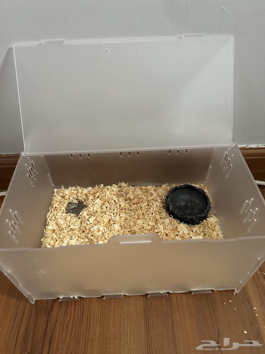 قفص زواحف او ثعابين صغيره64566507221505110