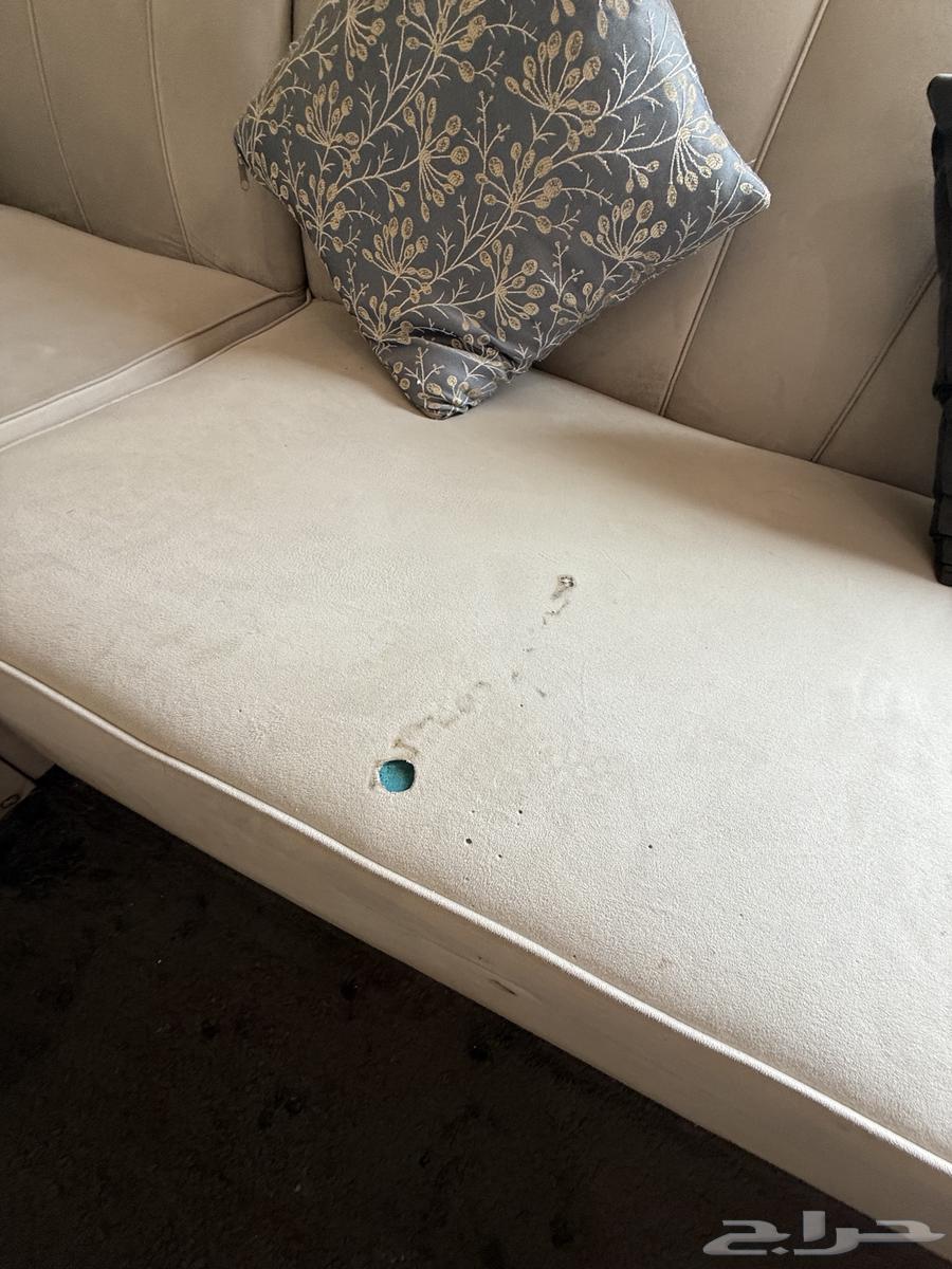 كنب وطاولات خدمة مع ستارة رول64565898196994111