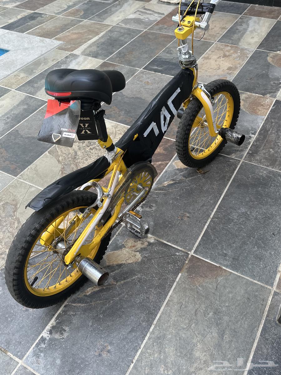 Cobra bicycle64565577536129111