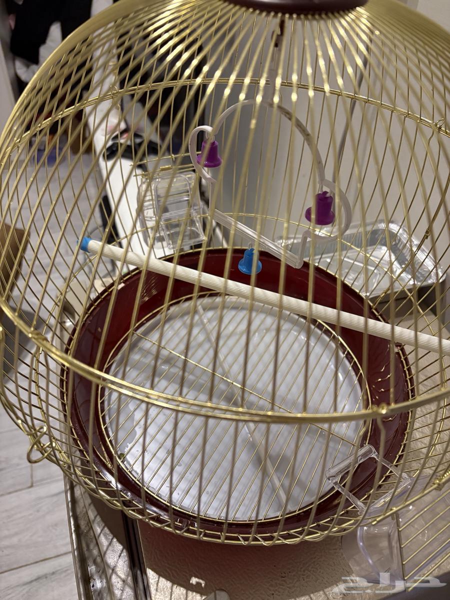 قفص للبيع64570997007363111