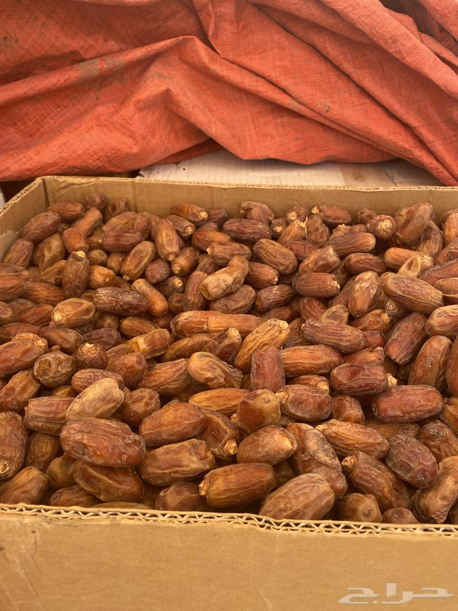 تمور صفري غير منقى للبيع64569740259201111