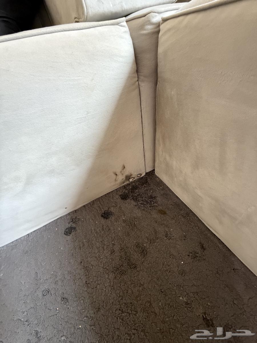 كنب وطاولات خدمة مع ستارة رول64565898196994112