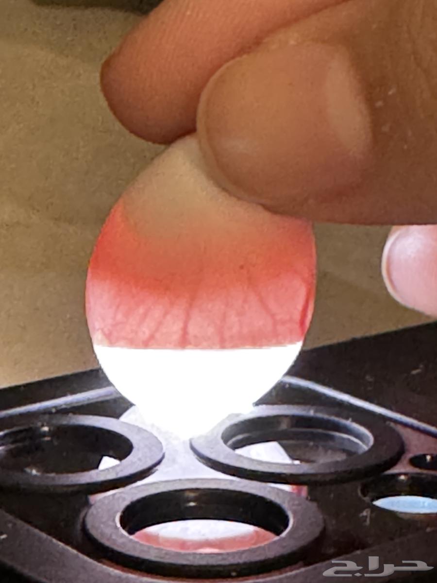 Productive Pair of the Day64566879546113112