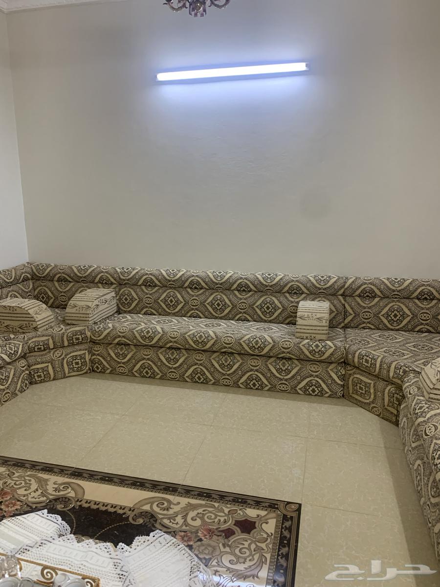 كنب شبه جديد للبيع مع الستاير64569165673345111