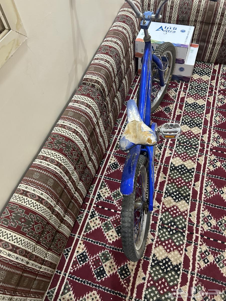 Bicycle64569412579841111