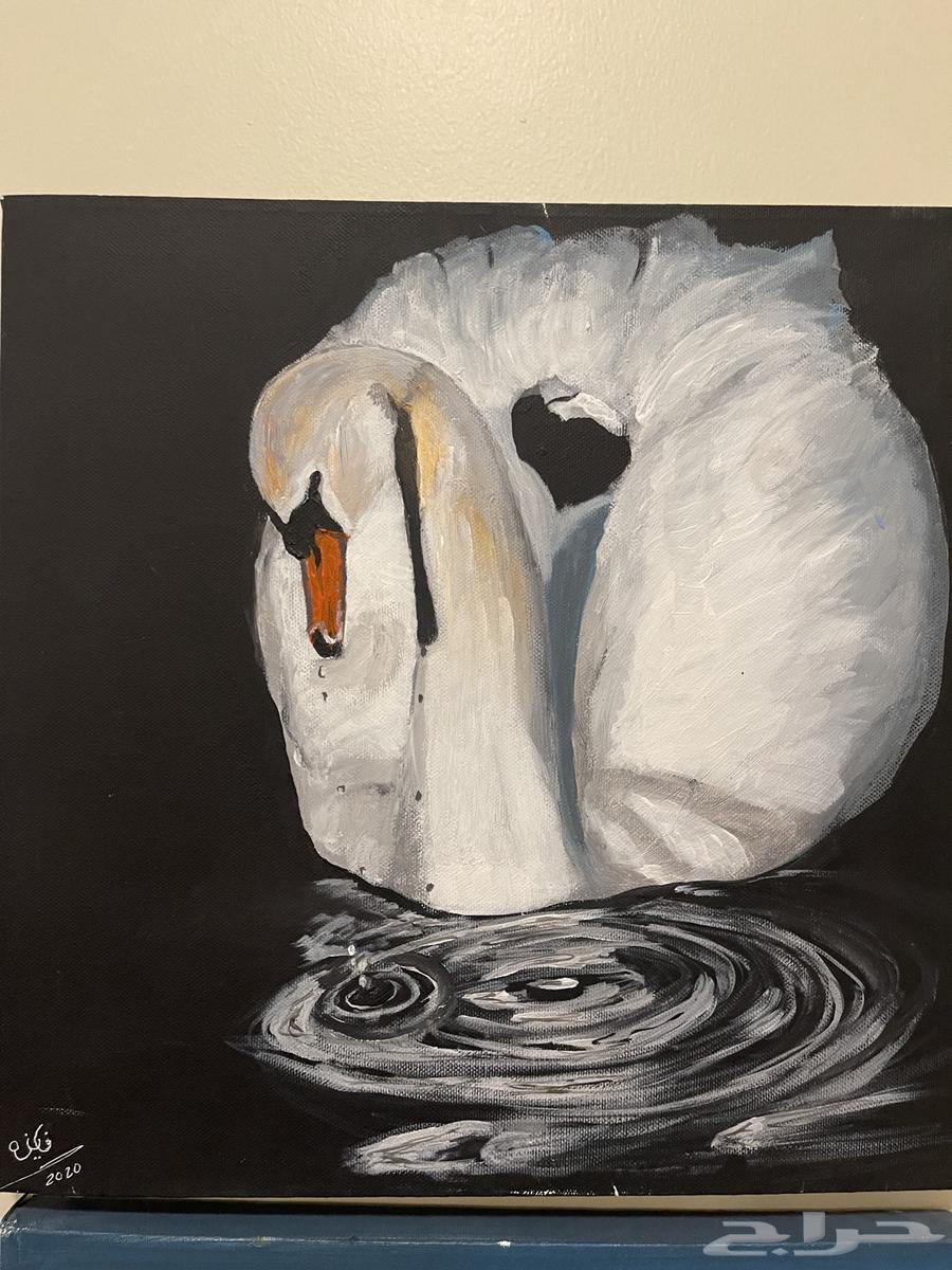 لوحات كانفس الالوان المستخدمه اكليريك64567462037761112