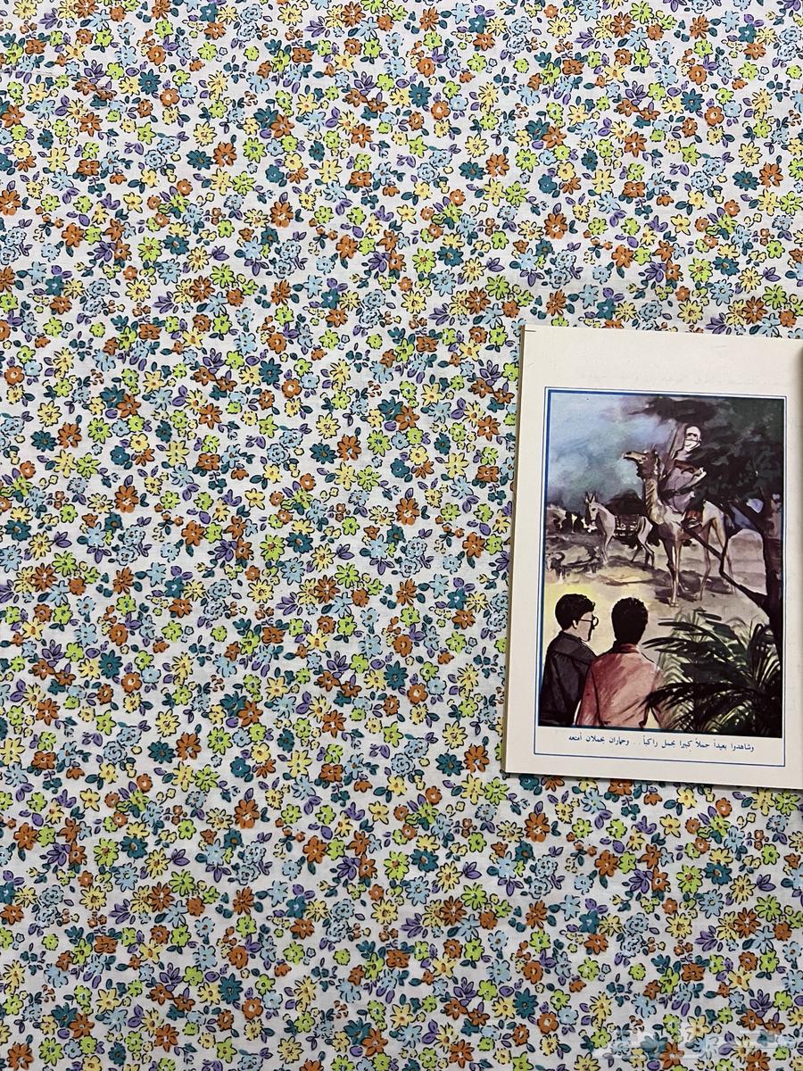 The Mysterious Earthquake Puzzle64564365377282113