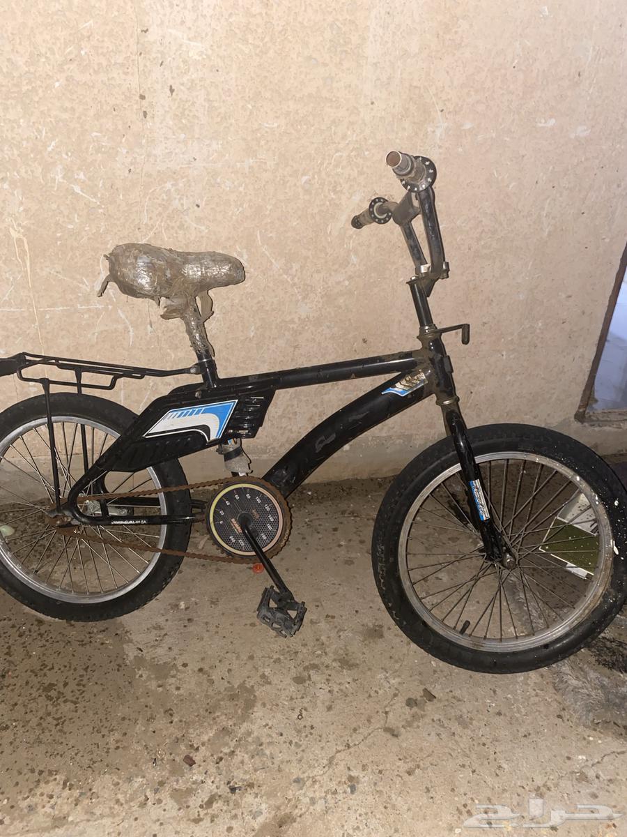 الموقع الديه64569002264706110