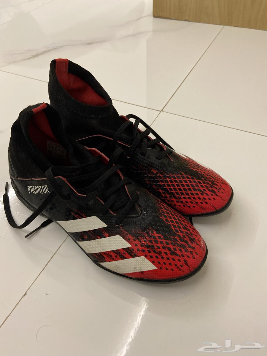 حذاء كورة بريداتور من شركة اديداس مستعمل64562754771970111
