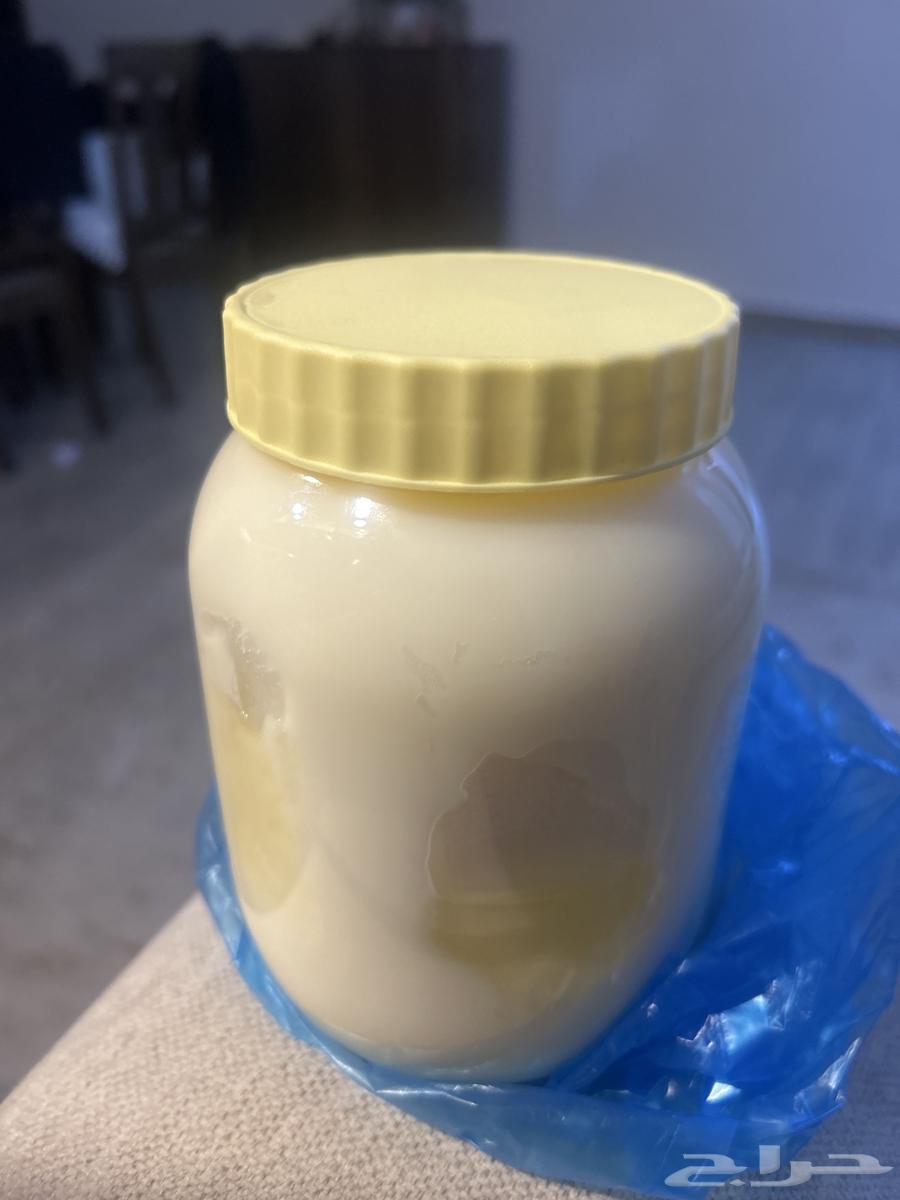 Sheep Ghee64563314350466111