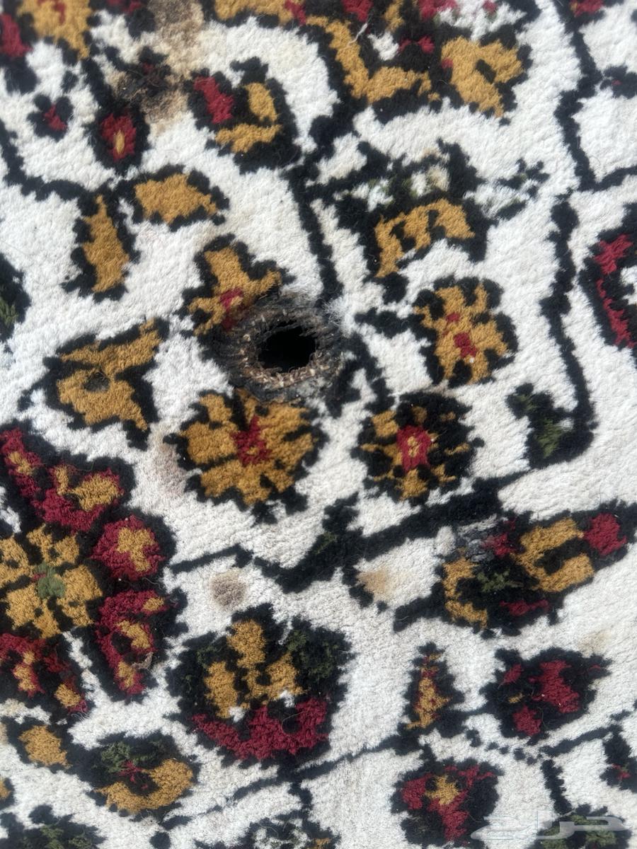 زوليه بلجيكي قديمه64570750609155114