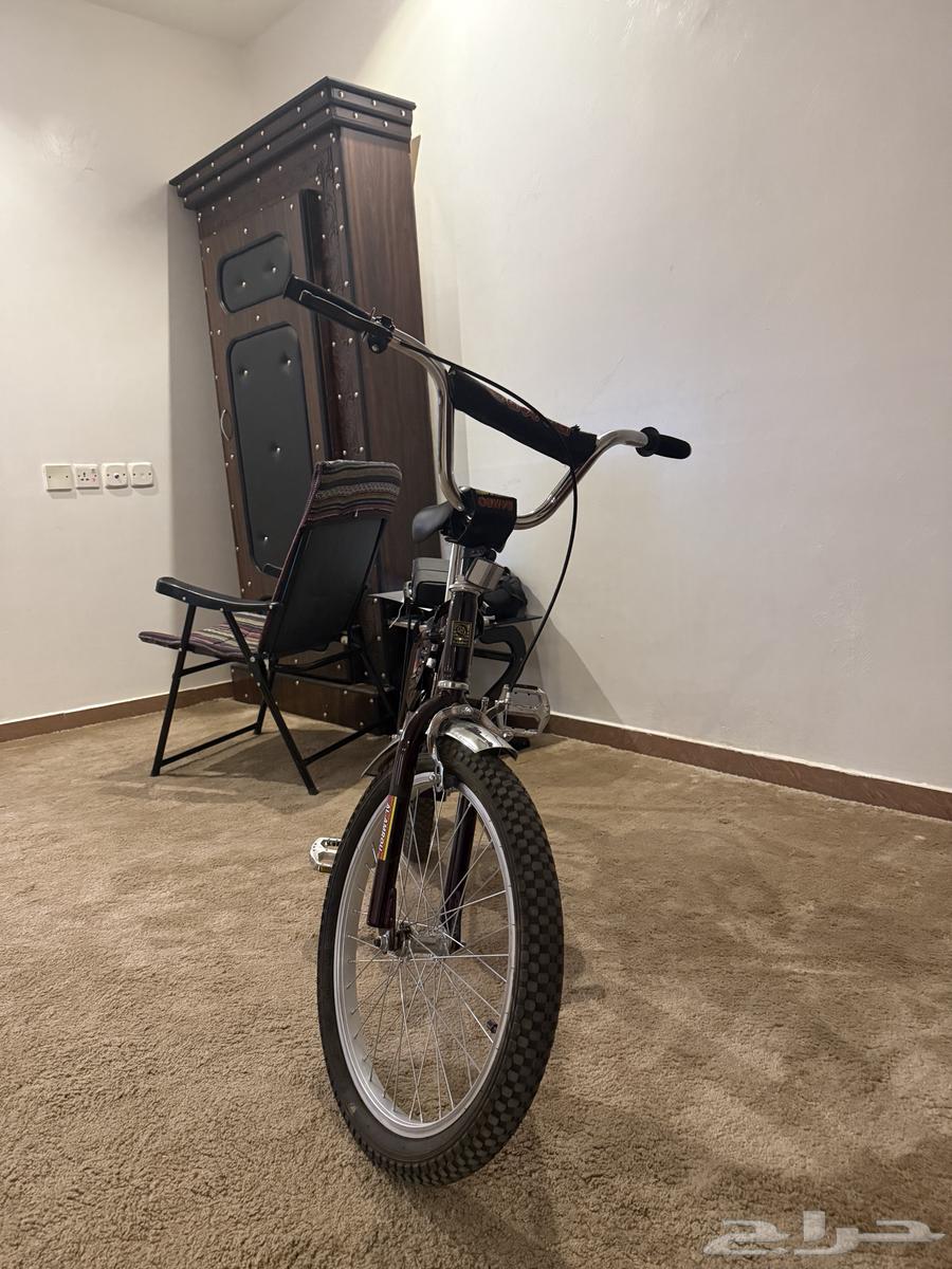 سيكل رامبو عنابي مقاس 2064569288679938110