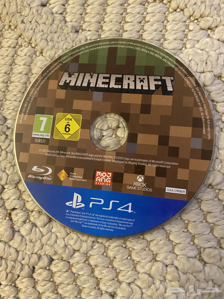 Radd and Mini Craft64565075350657113