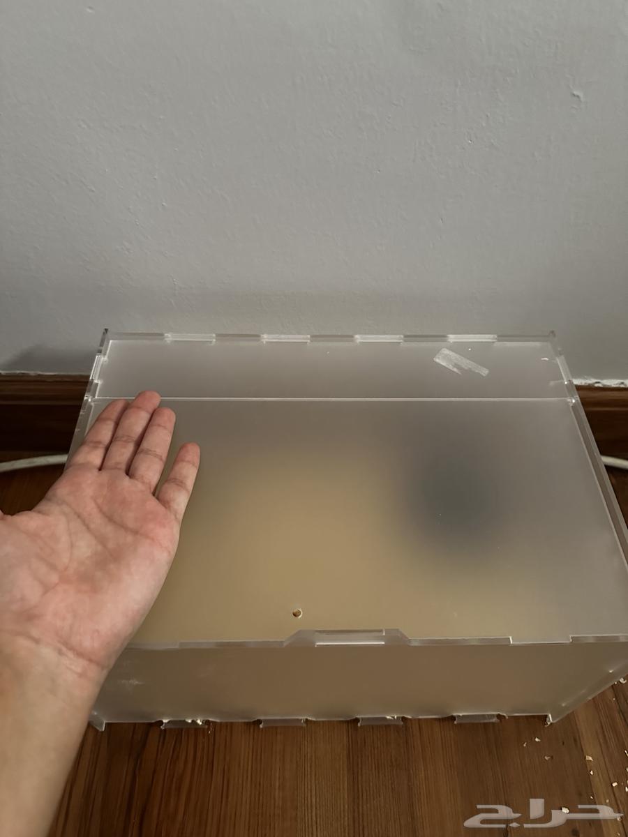 قفص زواحف او ثعابين صغيره64566507221505112