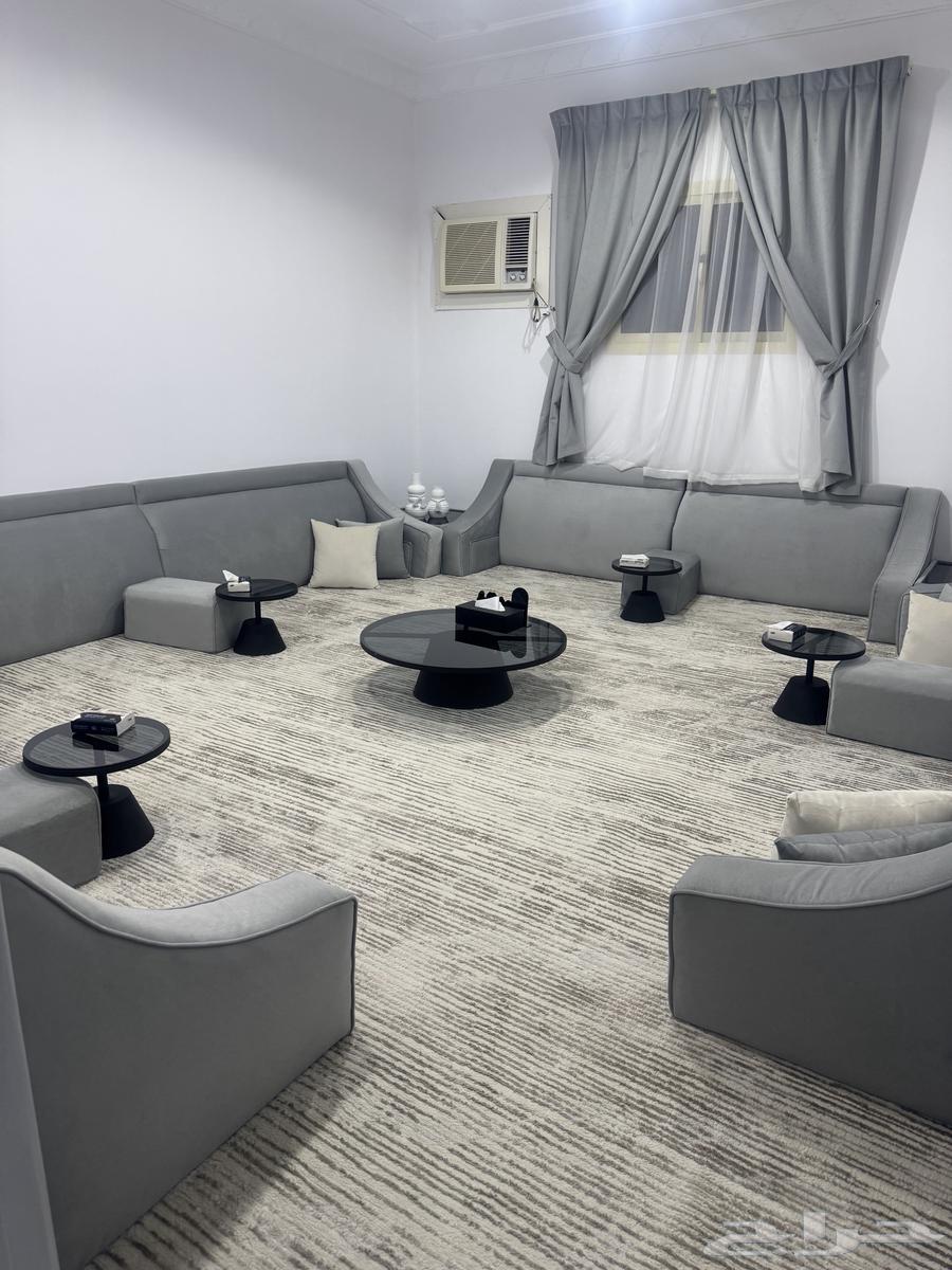 Full Back Support Full Council64563563892355113