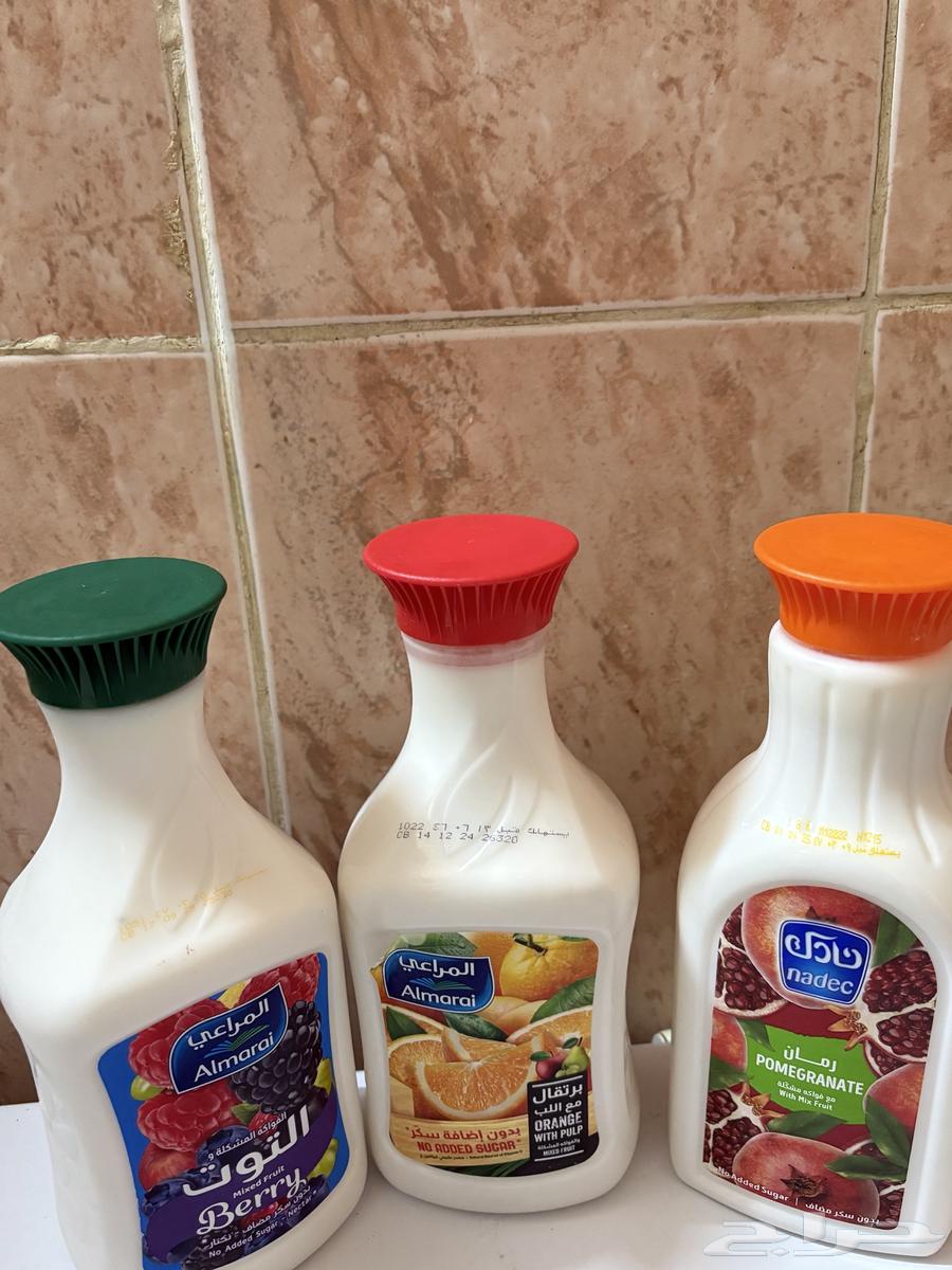 Sheep milk, shaken, clean jarkel for 10 riyals64569740266755110