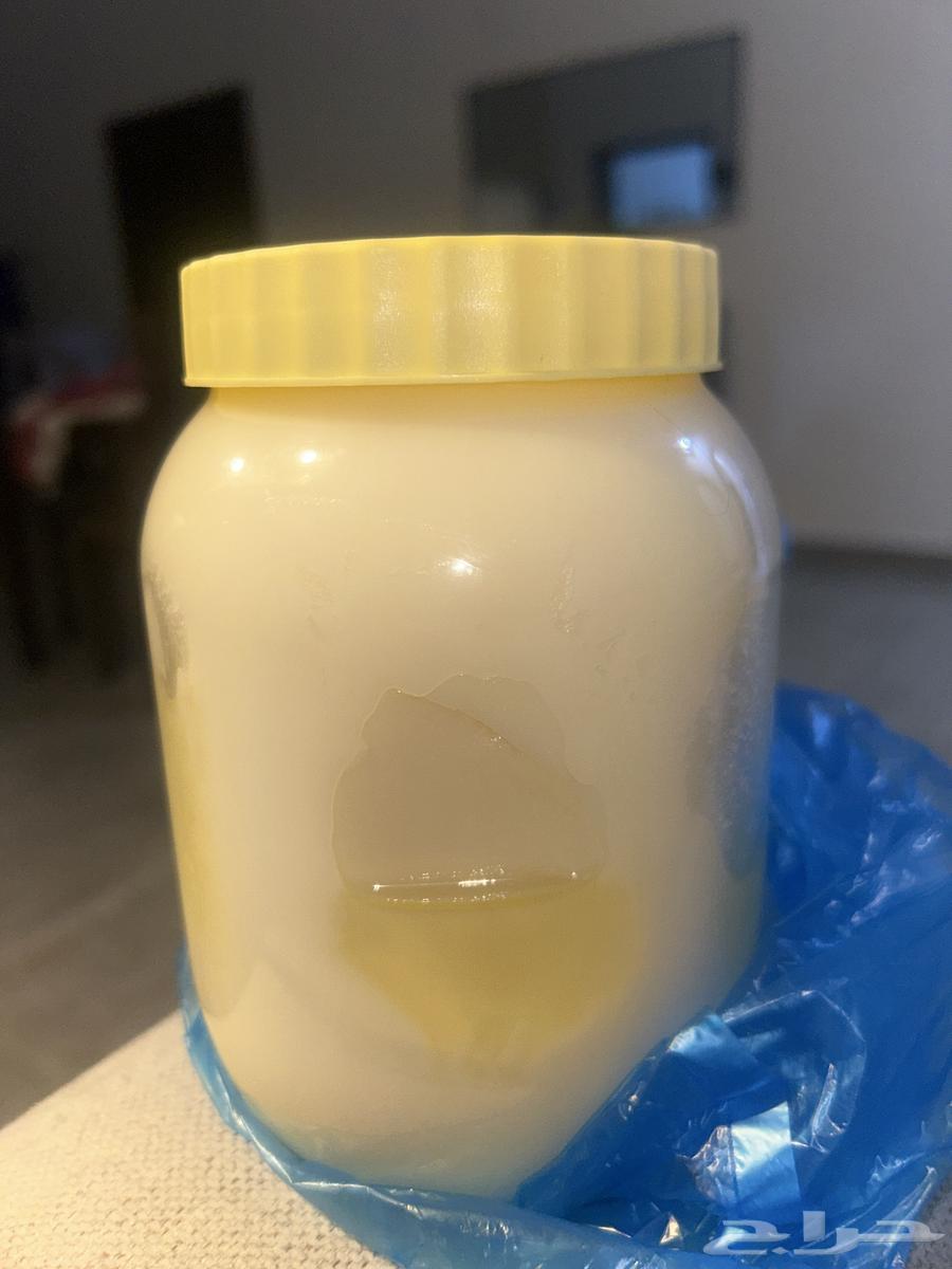 Sheep Ghee64563314350466110