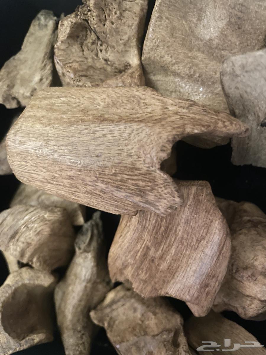 عود مروكي قدييم64563376191747110