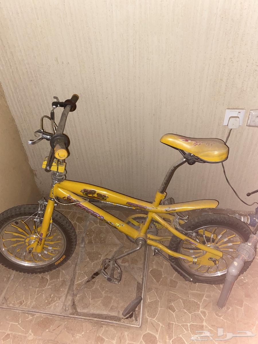 سيكل كوبرا تقريبا  جديد نضيف مخزن سريع64568811209603111