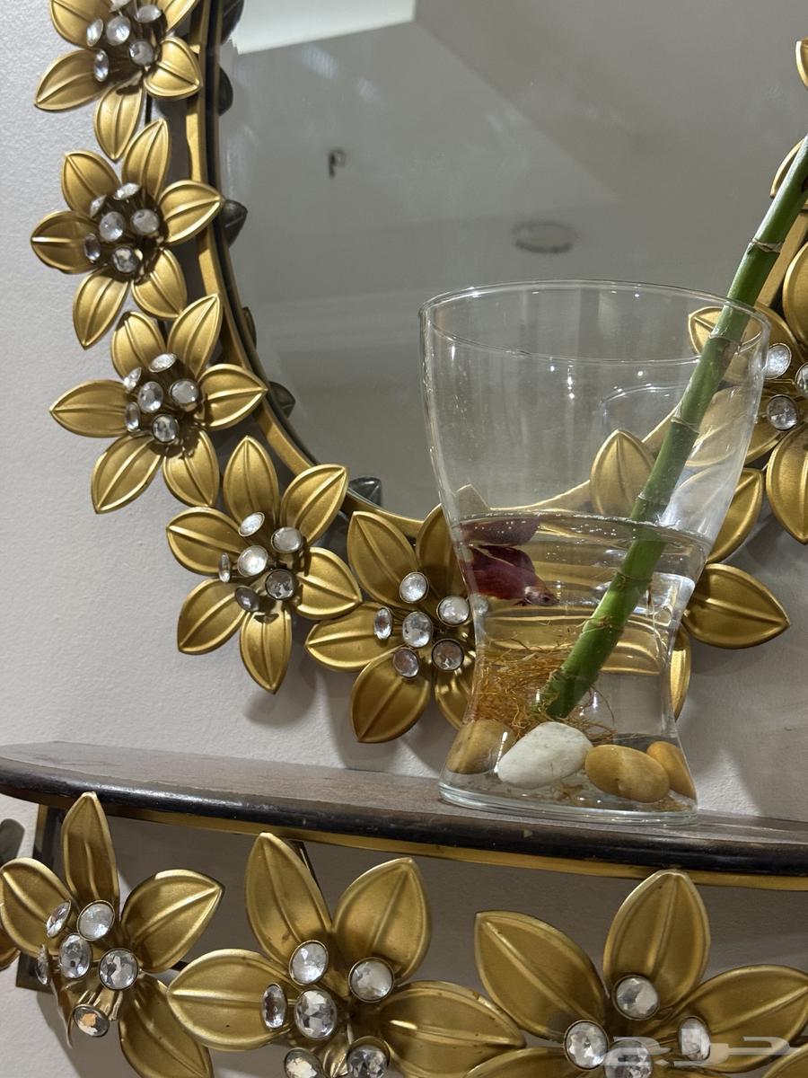 Furniture for majlis, sofa, dressing table and chandeliers64570832600067112