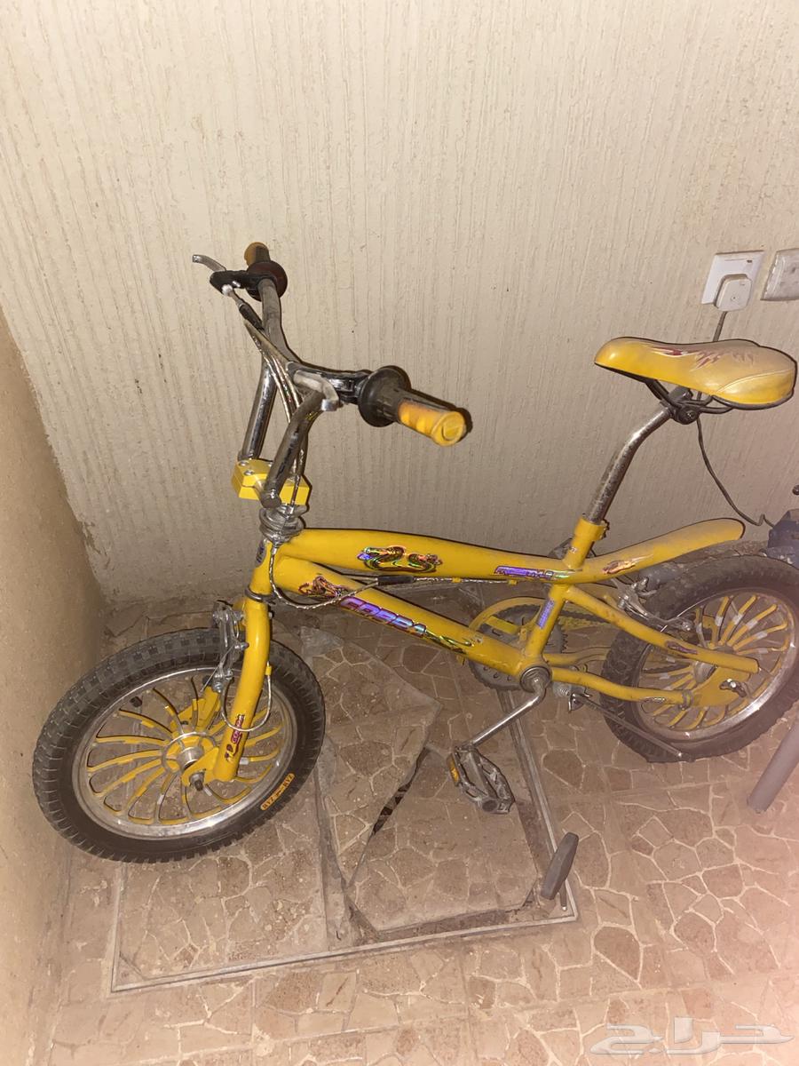 سيكل كوبرا تقريبا  جديد نضيف مخزن سريع64568811209603112