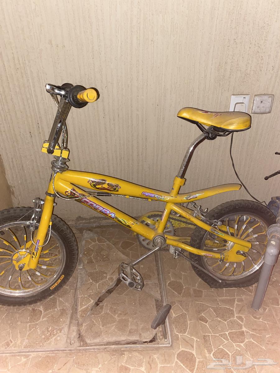 سيكل كوبرا تقريبا  جديد نضيف مخزن سريع64568811209603110