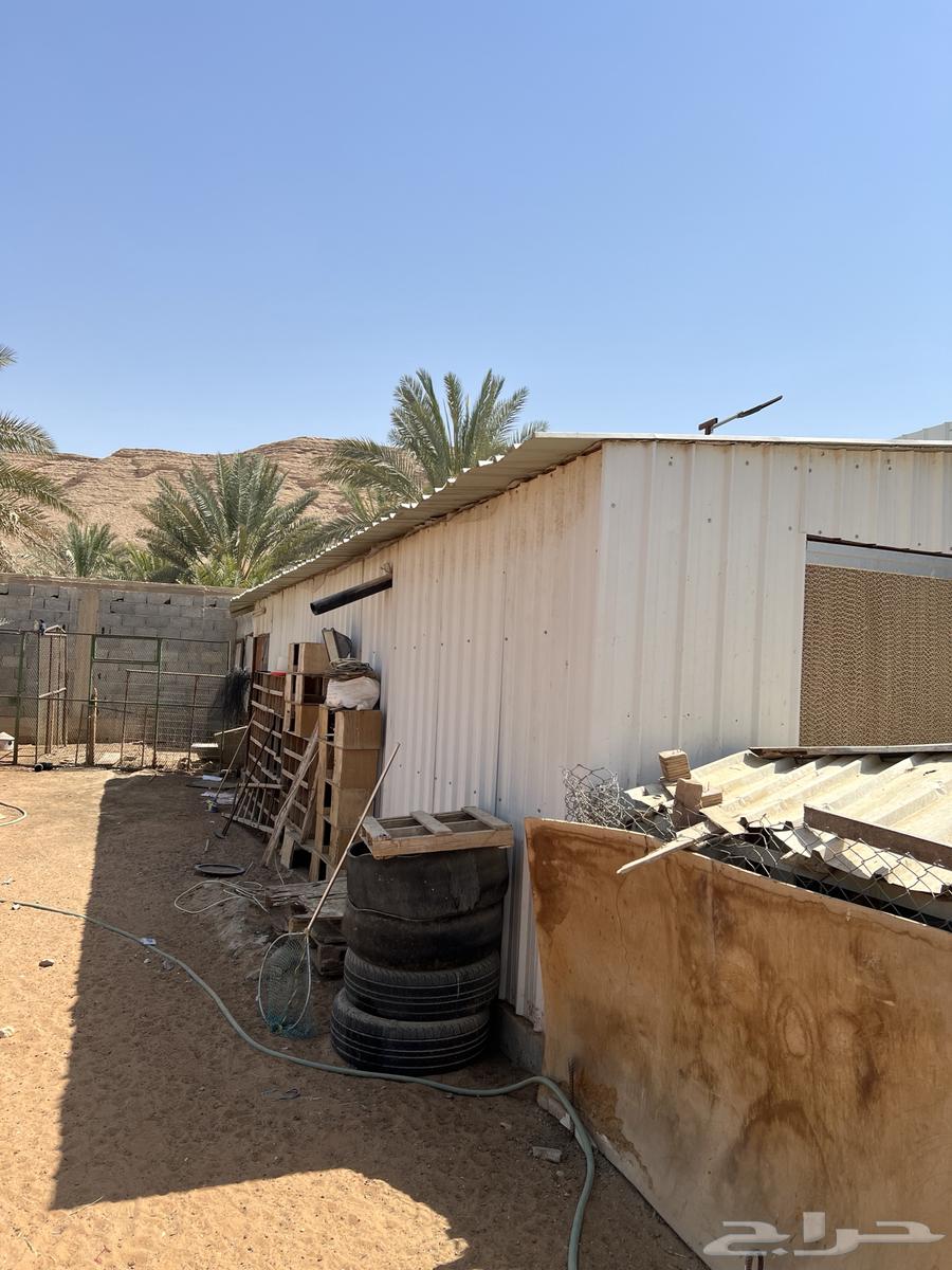 Items for sale from a rest house64564894247809113