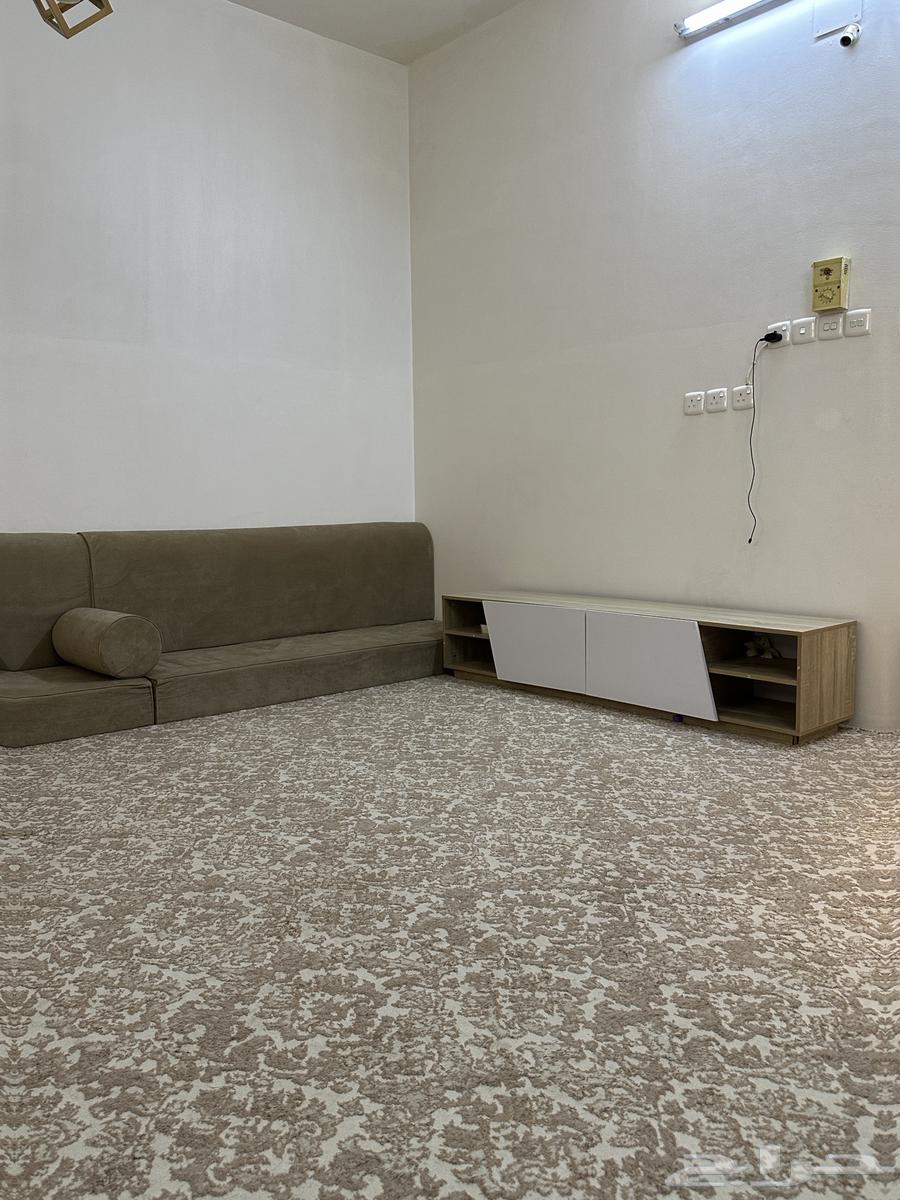 Floor seating and carpet64564240350083110