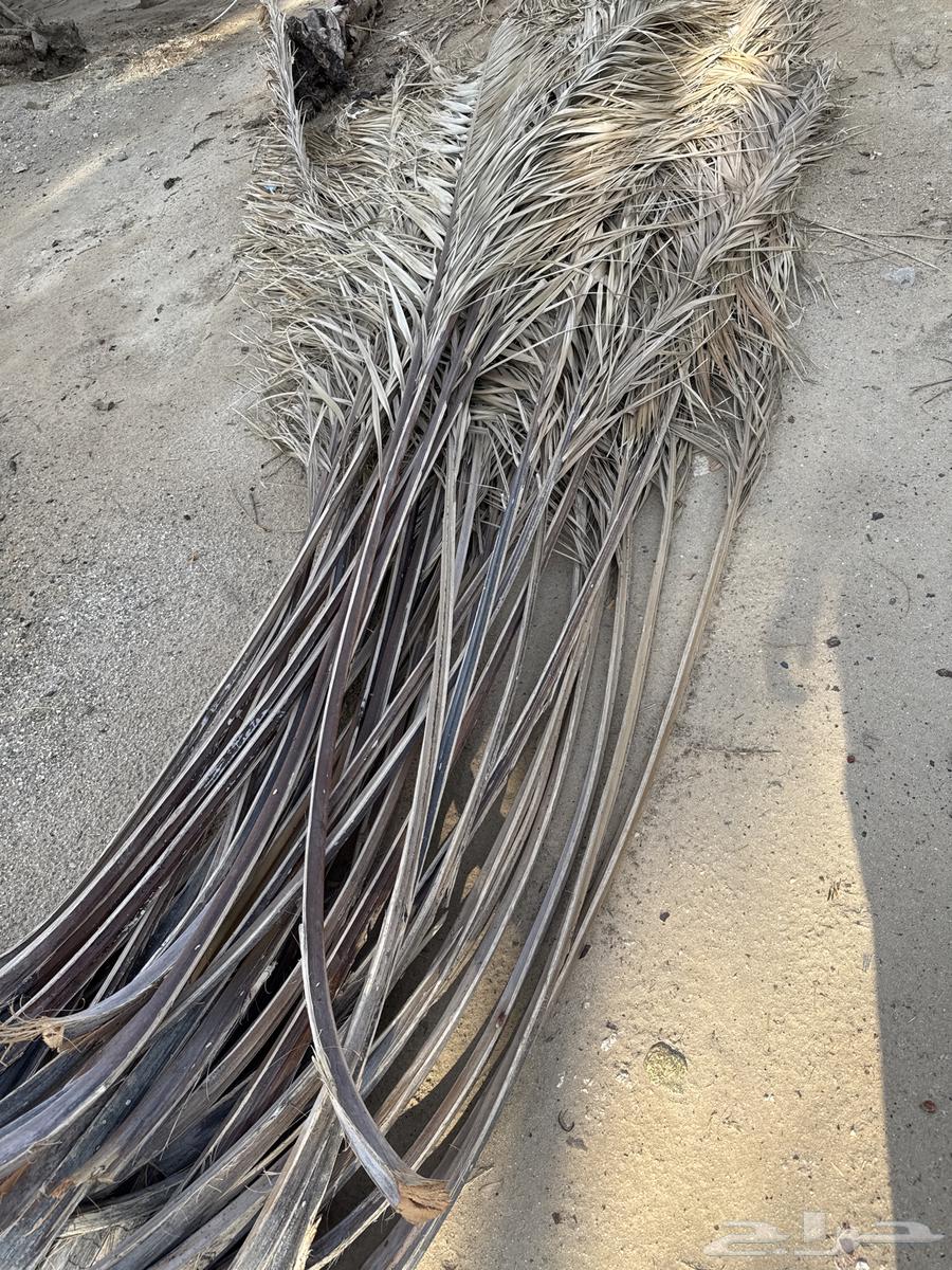 For sale, suitable for Datsun Gamarah, Hilux Gamarah, or dump truck64567448084867111