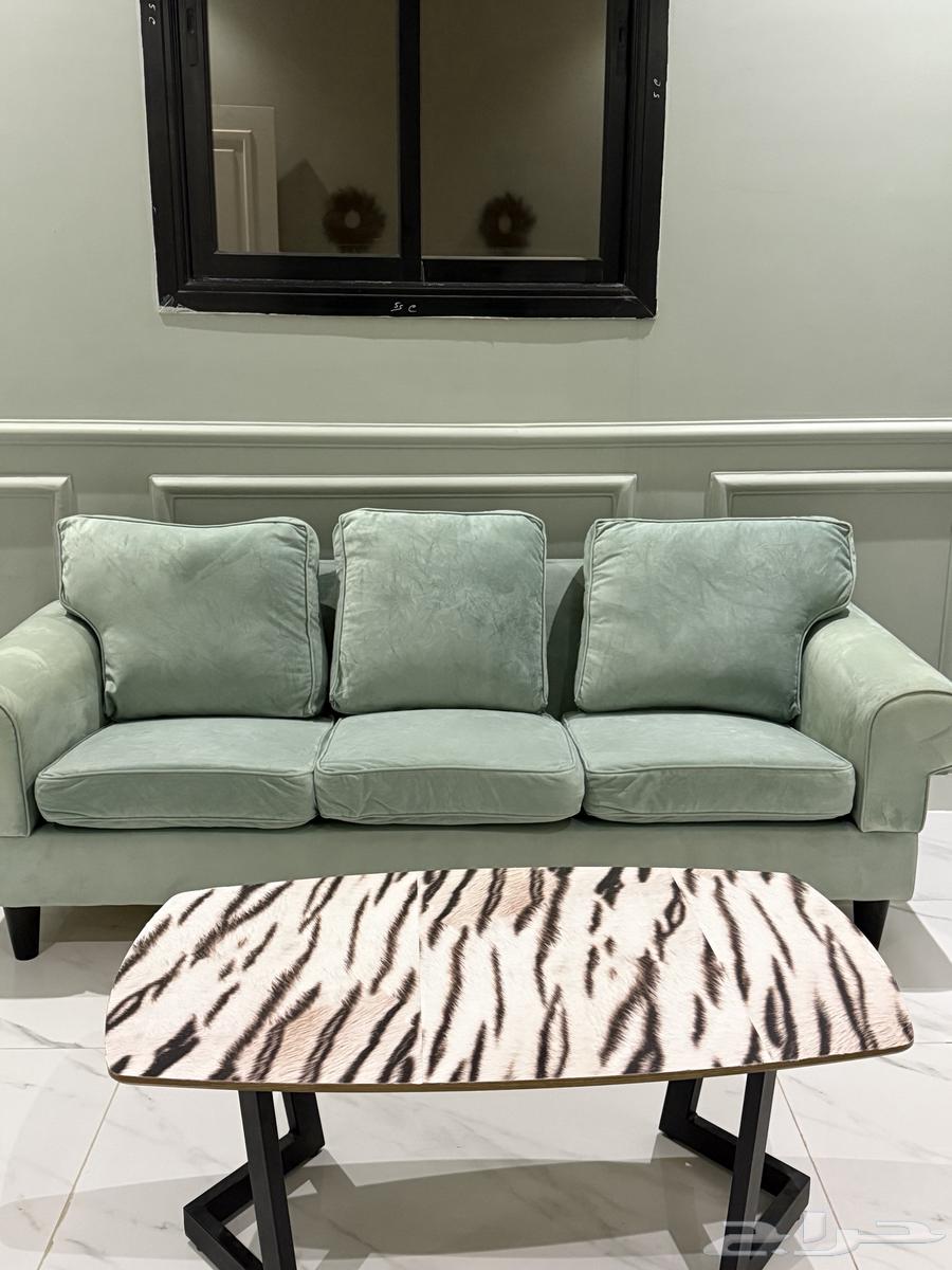 أثاث نظيف وأنيق64569220206339111