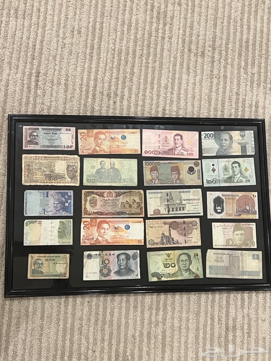 لوحتين ( فلوس ) حقيقيه64569944231171111