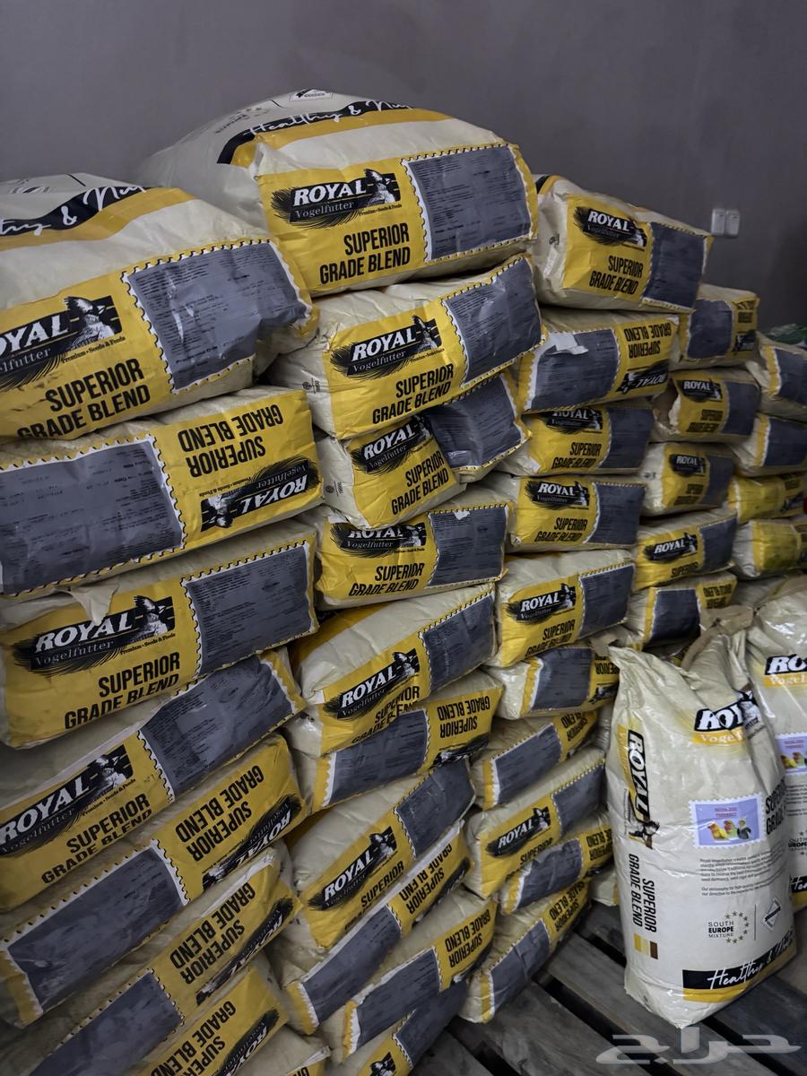 Abu 'Aris64566008808835110