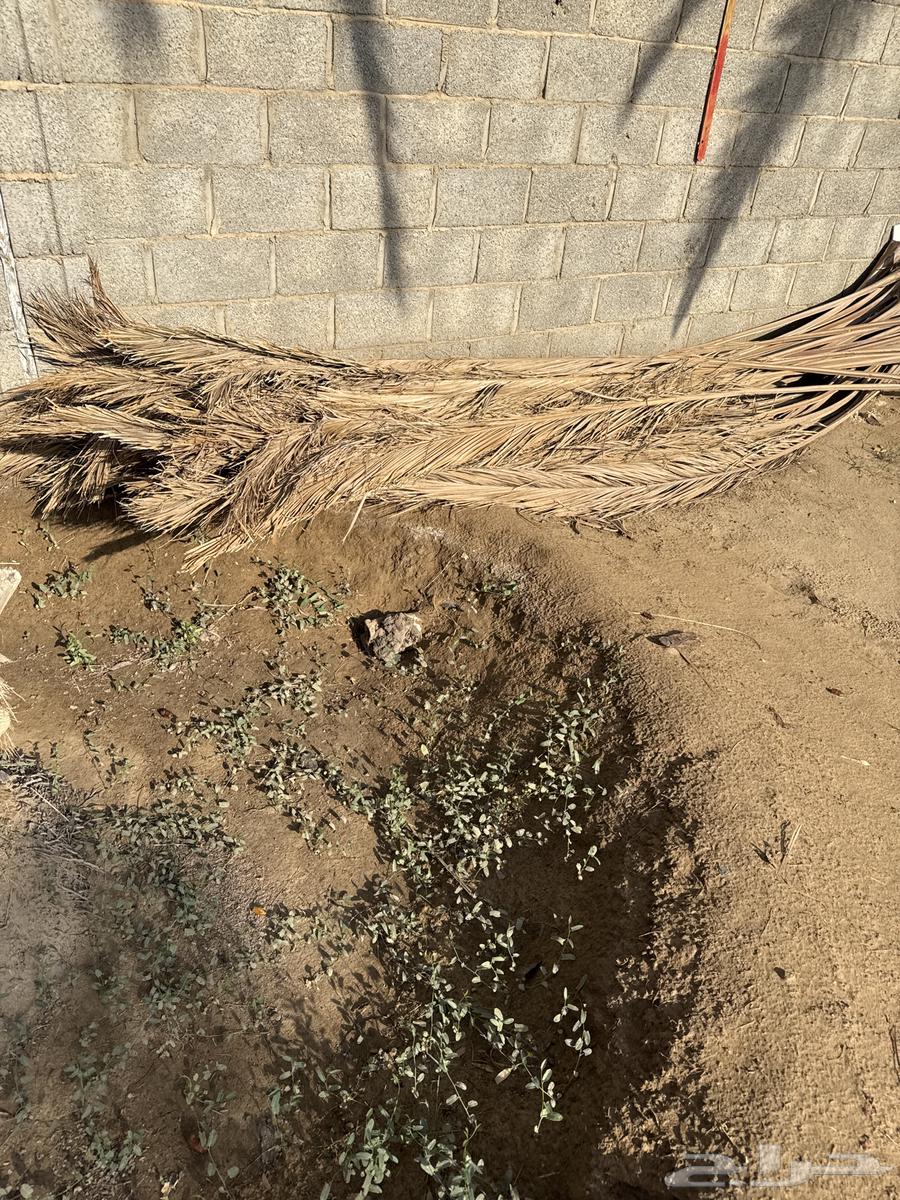 For sale, suitable for Datsun Gamarah, Hilux Gamarah, or dump truck64567448084867112