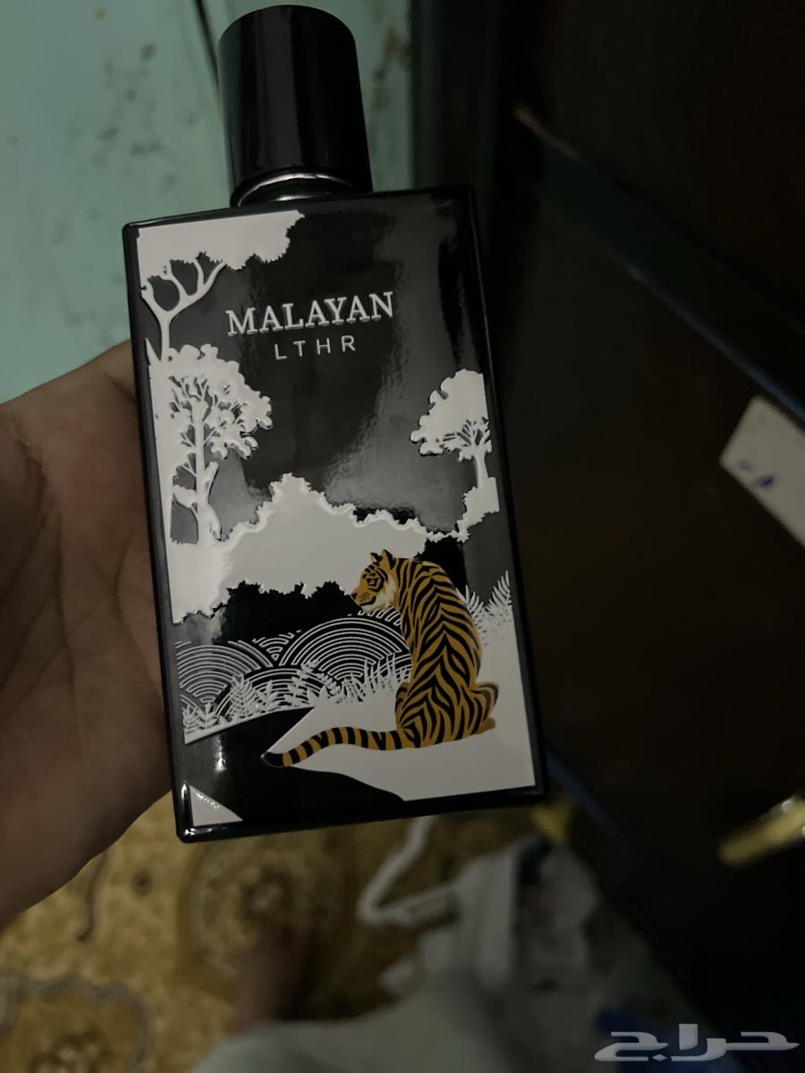 عطر للبيع من عبد الصمد القرشي64566299538945112