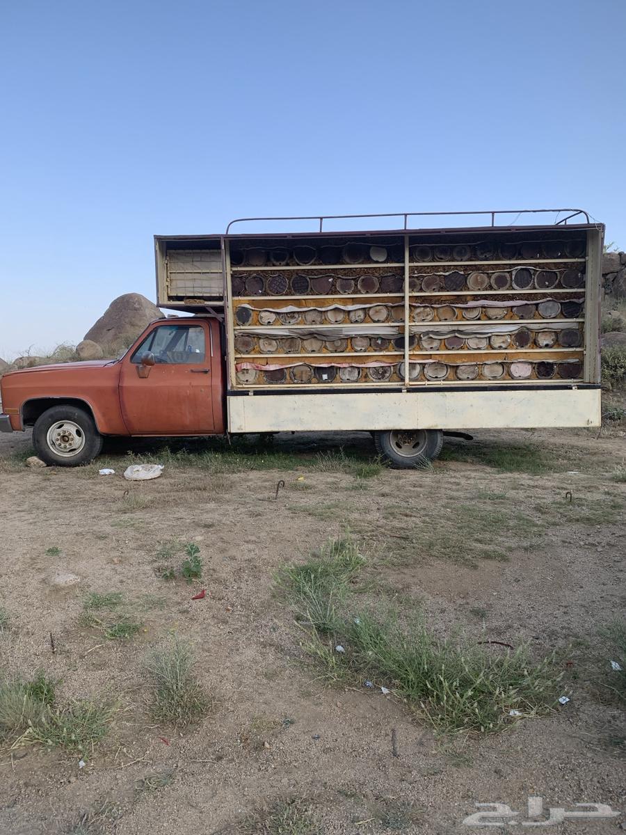 نحل للبيع مع سياراته (جمسين)64569043055235110