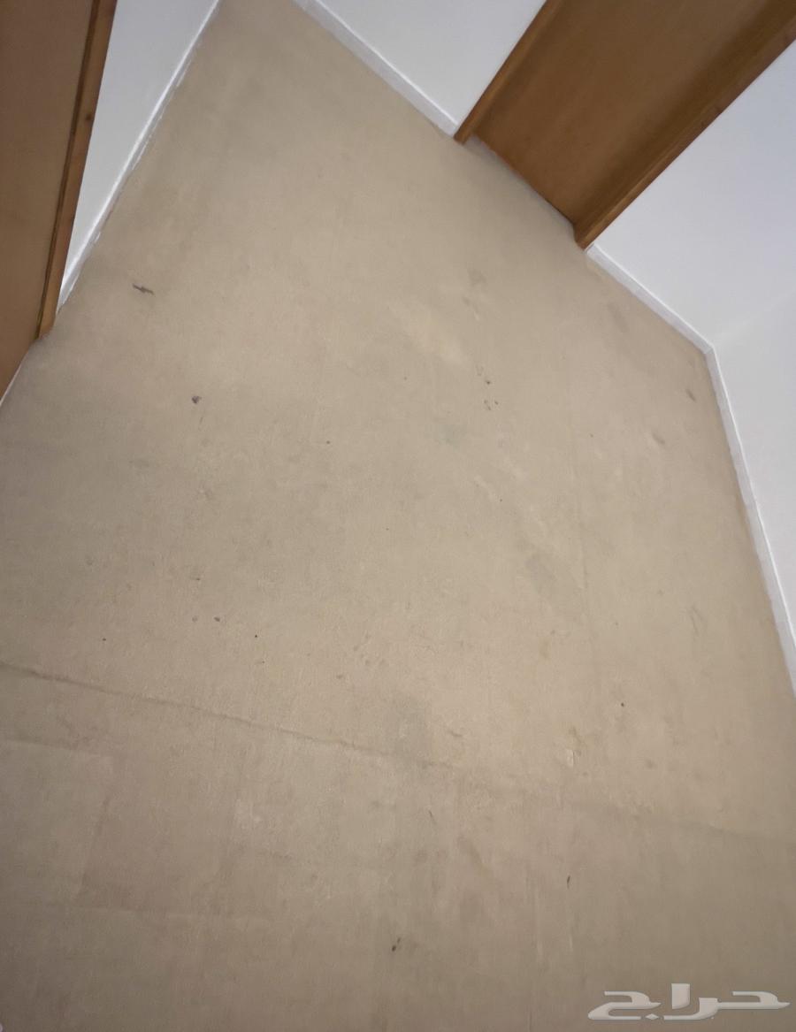 Backrest Council64571147906819114