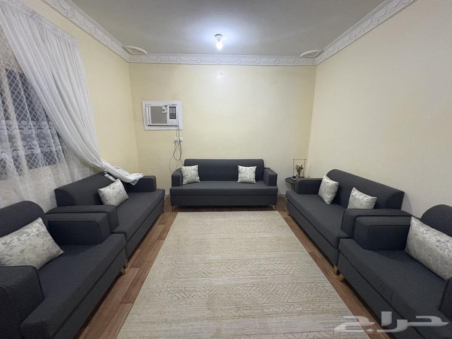 His brother's new sofa, very light use64563702405507110