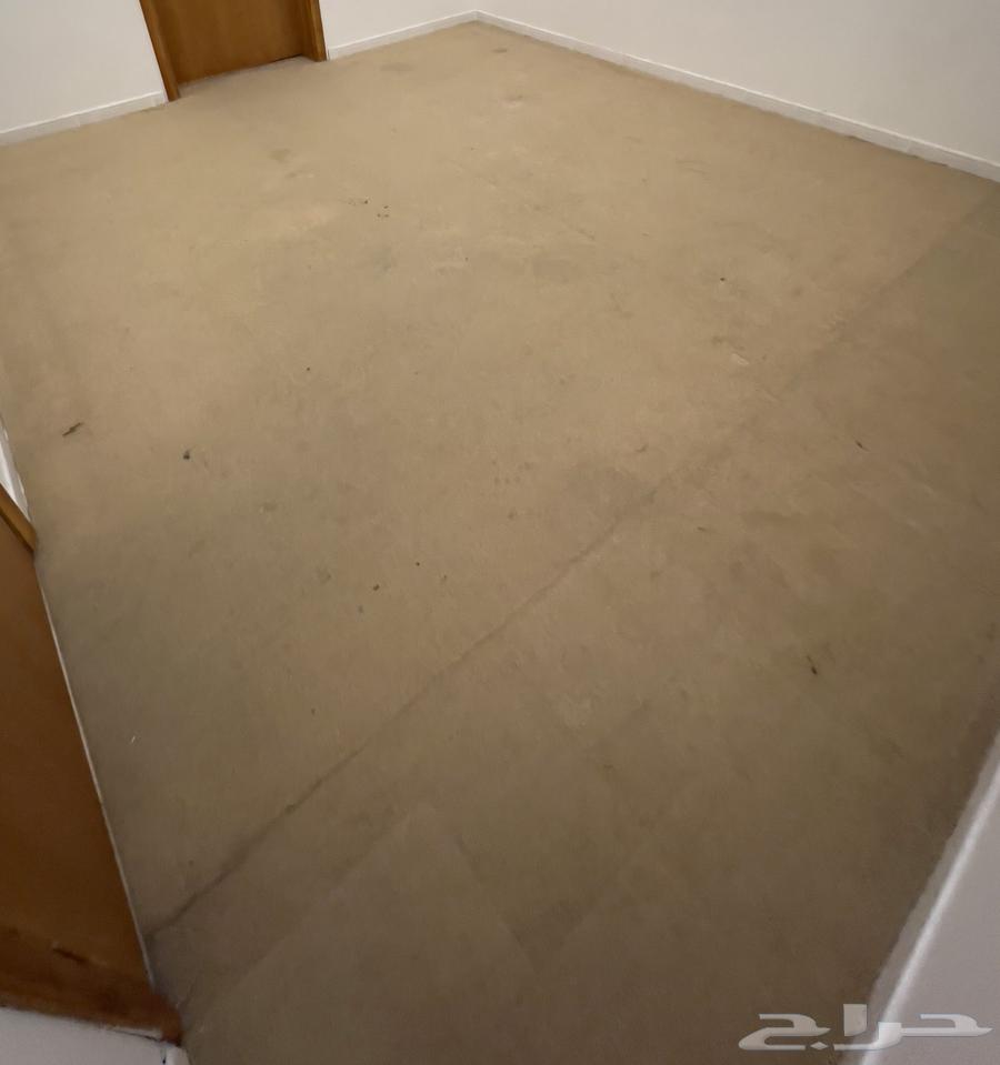 Backrest Council64571147906819113