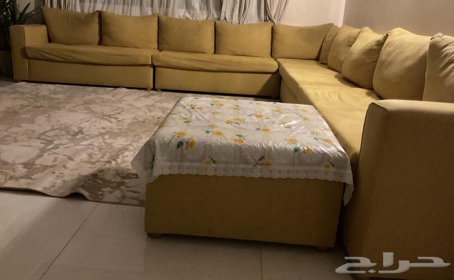 كنب اصفر للبيع64567225625987112