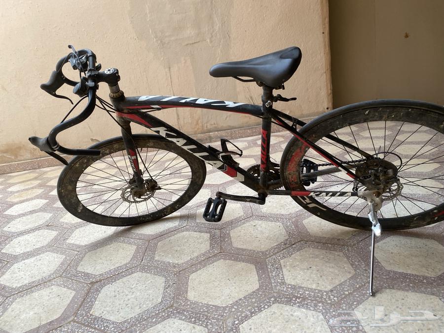 سيكل للبيع انباع64568537163650112