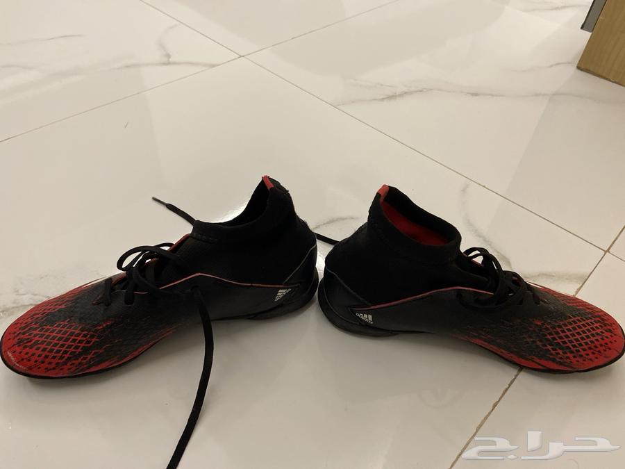 حذاء كورة بريداتور من شركة اديداس مستعمل64562754771970113