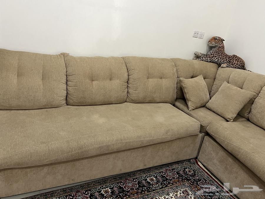 Sofa and dining table64562671184385112