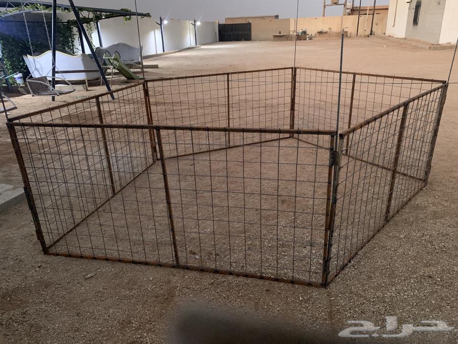 Sheep net64568852050946110